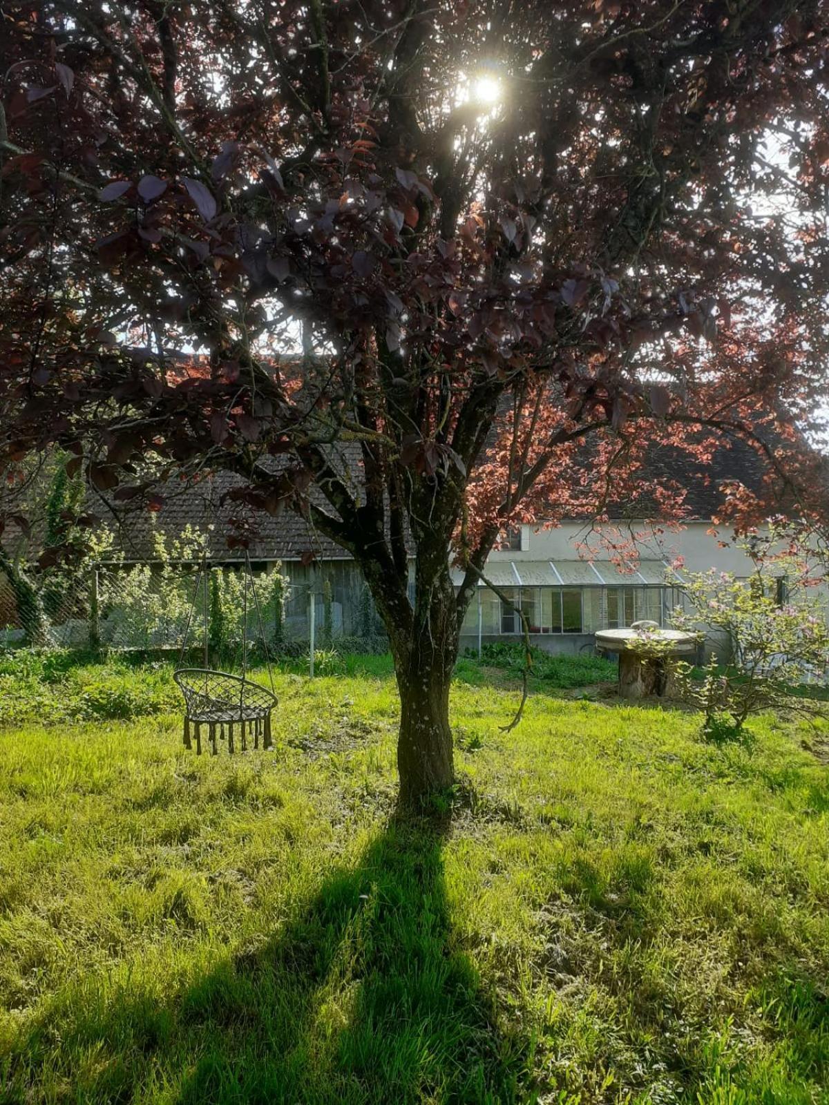 Location De Chambres Bienvenue Chez Meme Treigny Kültér fotó